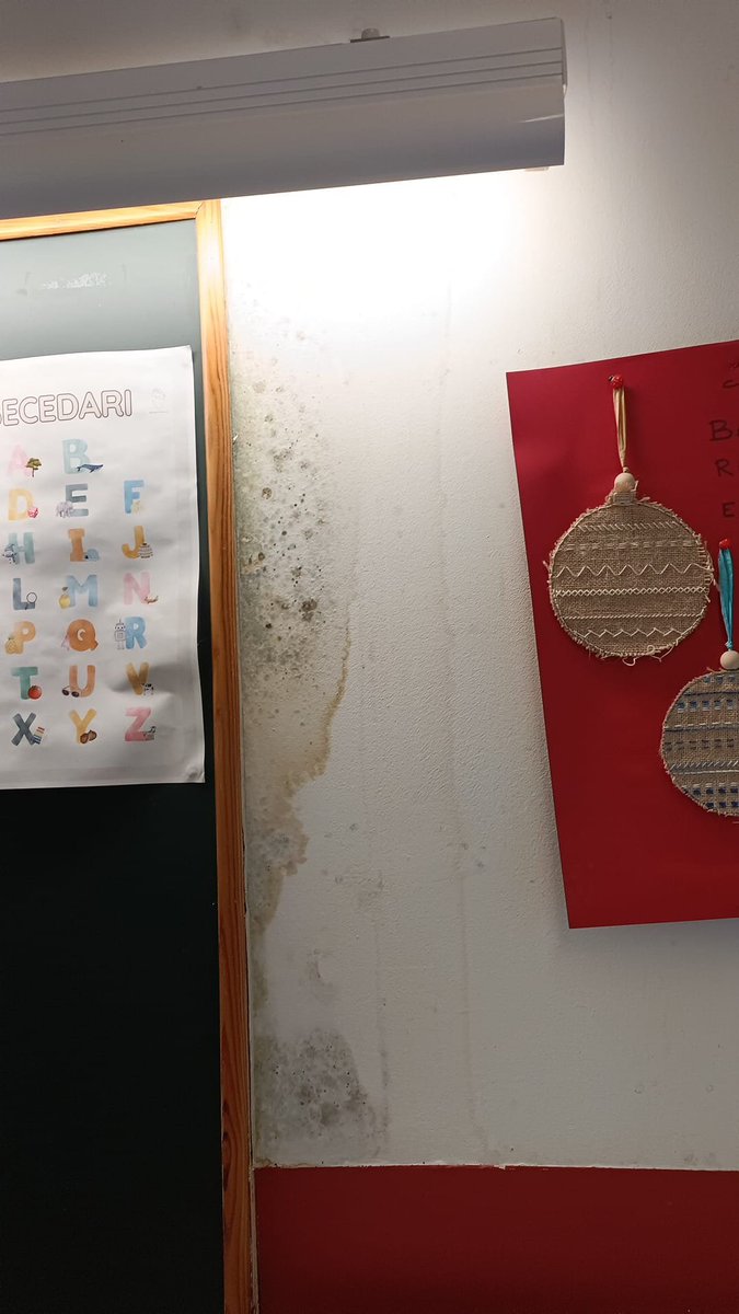 AFI GERBERT tweet media