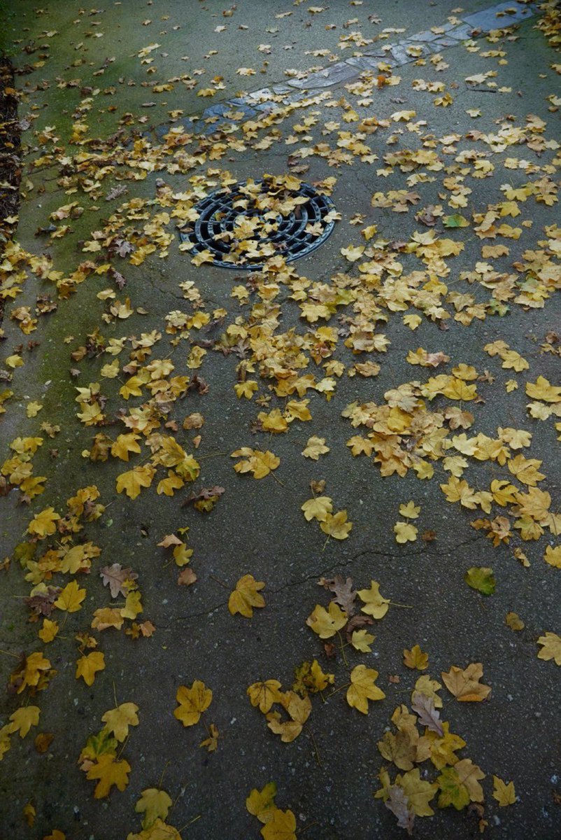 HIDEO_KOJIMA tweet media