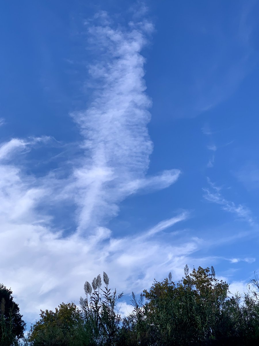 RemeiCambrils's tweet photo. 🌬️💨 Núvol ploma?

@P4Estacions #Cambrils #baixcamp #meteocat #NUVOL https://t.co/7Sd9dBCoJm