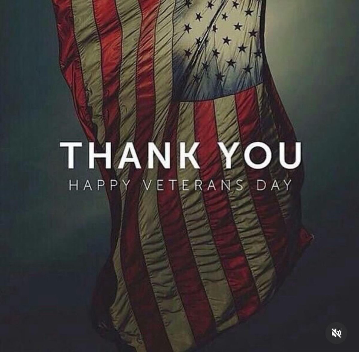 Words seem so small but a heart felt thank you to all who have served. Because of your patriotism and willingness to serve we are infinitely blessed with our freedom. #thankyou #gratitude #veteransday #blessed #grateful