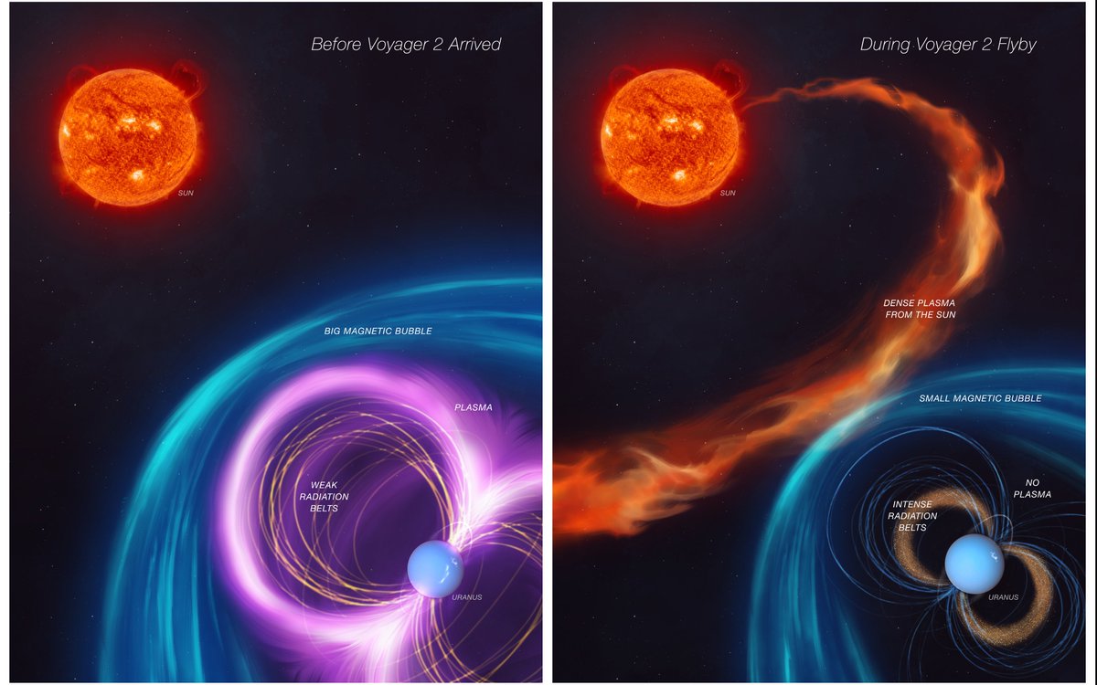 uclnews's tweet image. Mysteries about Uranus that have baffled scientists for decades may have been the result of unusually powerful solar winds that happened to occur as a spacecraft visited the planet, finds a new study involving Dr @astro__will @uclmaps with @NASAJPL ucl.ac.uk/news/2024/nov/…