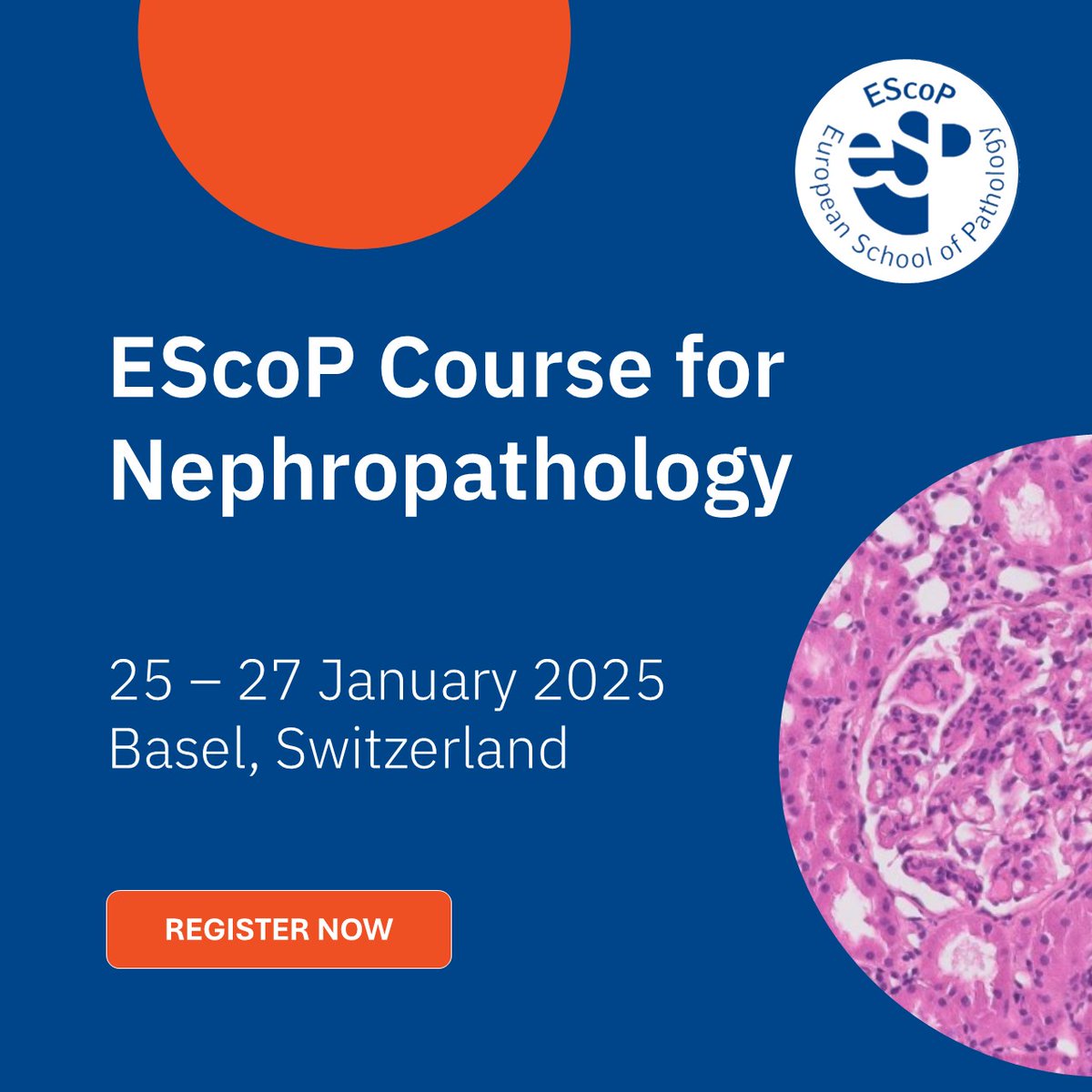 🚨A new #EScoP course is now open for registration!
This one will be on Nephropathology and is scheduled for 25-27 January in Basel, 🇨🇭!
Detailed information for the course programme and instructions about how to register is available via the ESP website: esp-pathology.org/event/escop-ne…