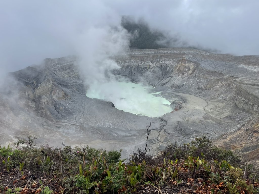 _jiawei_zhou's tweet image. Hola👋 I’m at #CSCW2024 in Costa Rica. Finally be able to attend a conference in person! Happy to chat about misinformation/problematic info, and AI for health:)