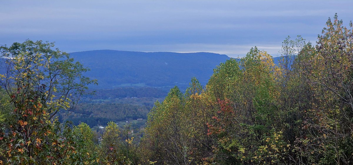 john reilly tweet media