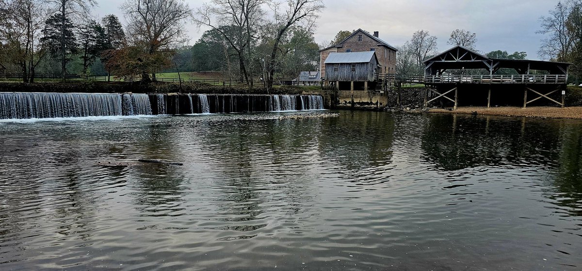 john reilly tweet media