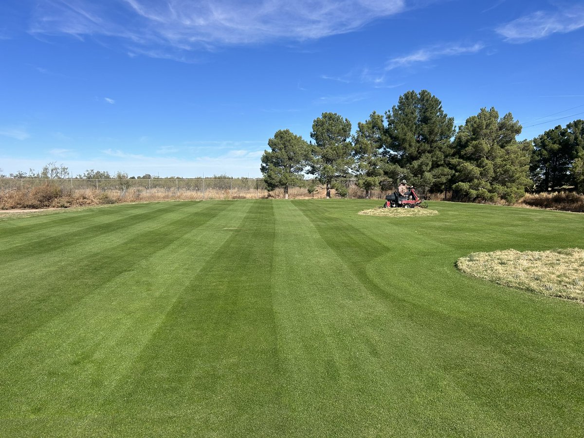Overseed is glowing!