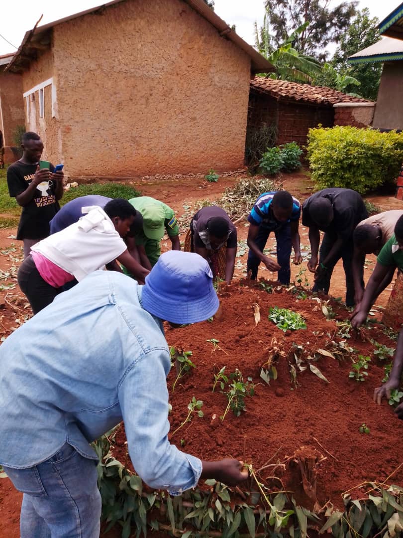 Gisagara Youth Volunteers tweet media