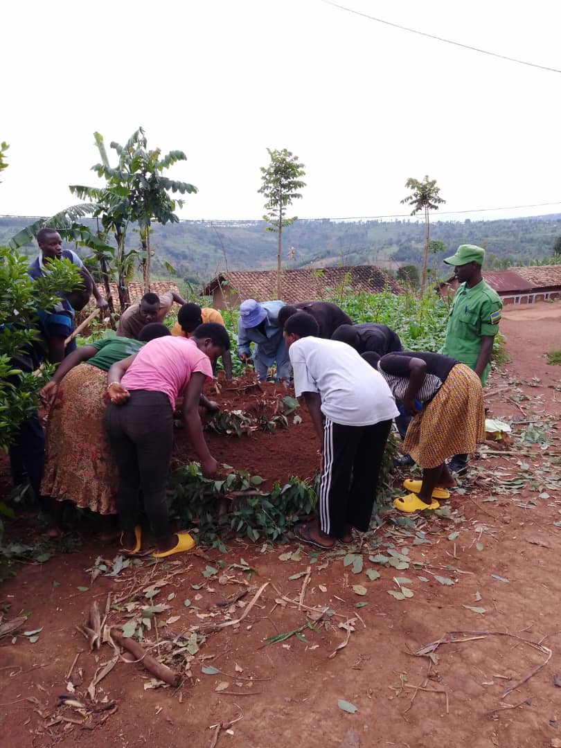 Gisagara Youth Volunteers tweet media