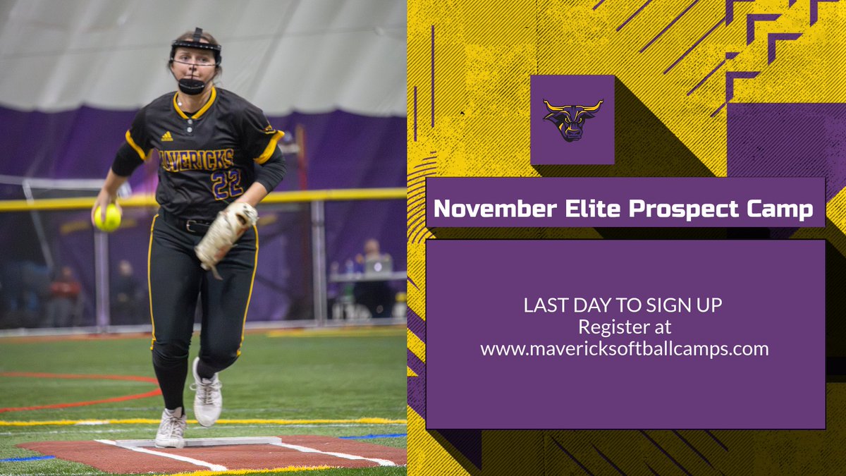 MSU Softball (@minnstsoftball) on Twitter photo 