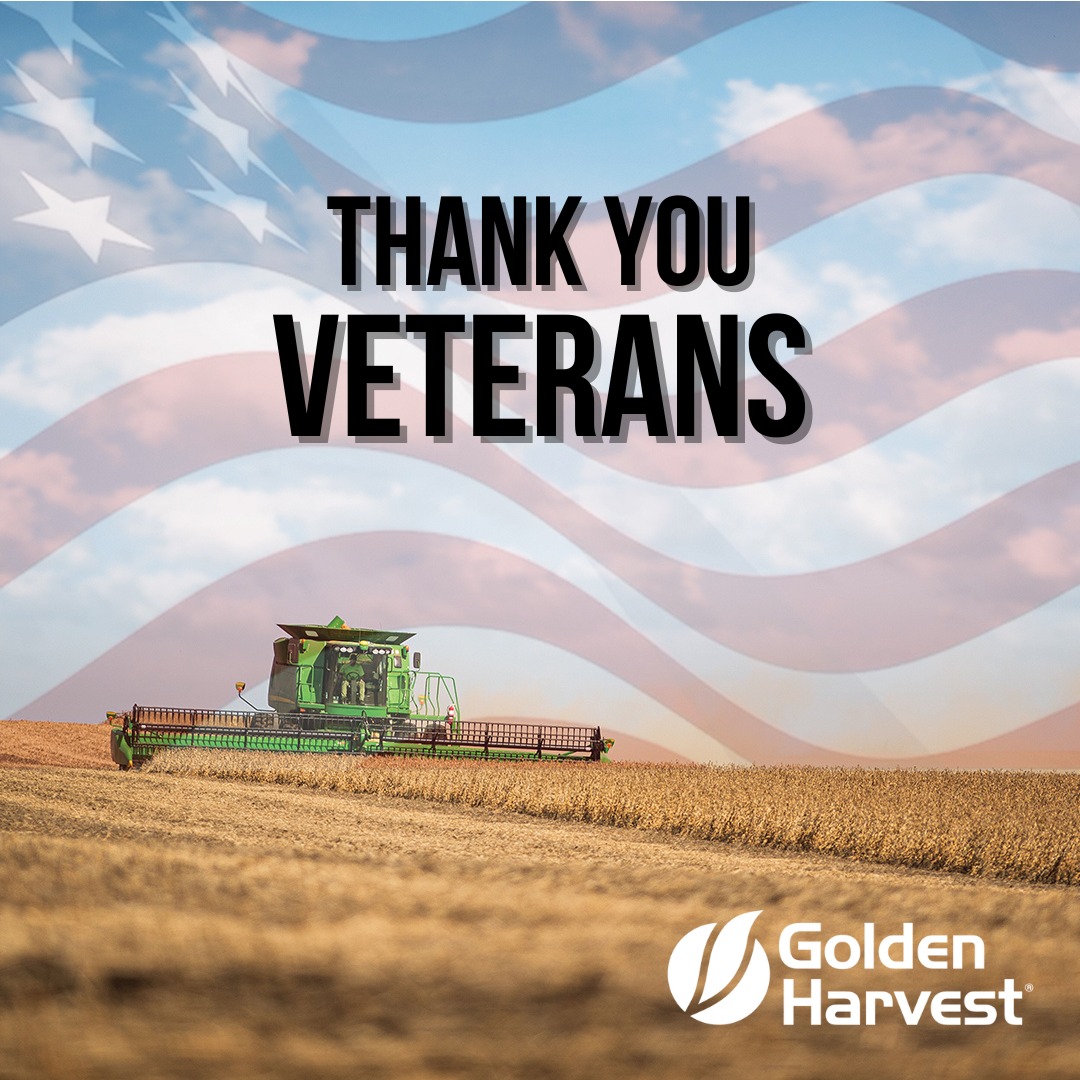 GldnHarvest's tweet photo. To those wearing the uniform or who have worn it in the past: Your courage and commitment inspire us. We honor you today and thank you for your service. #VeteransDay https://t.co/on2SxGGDVz