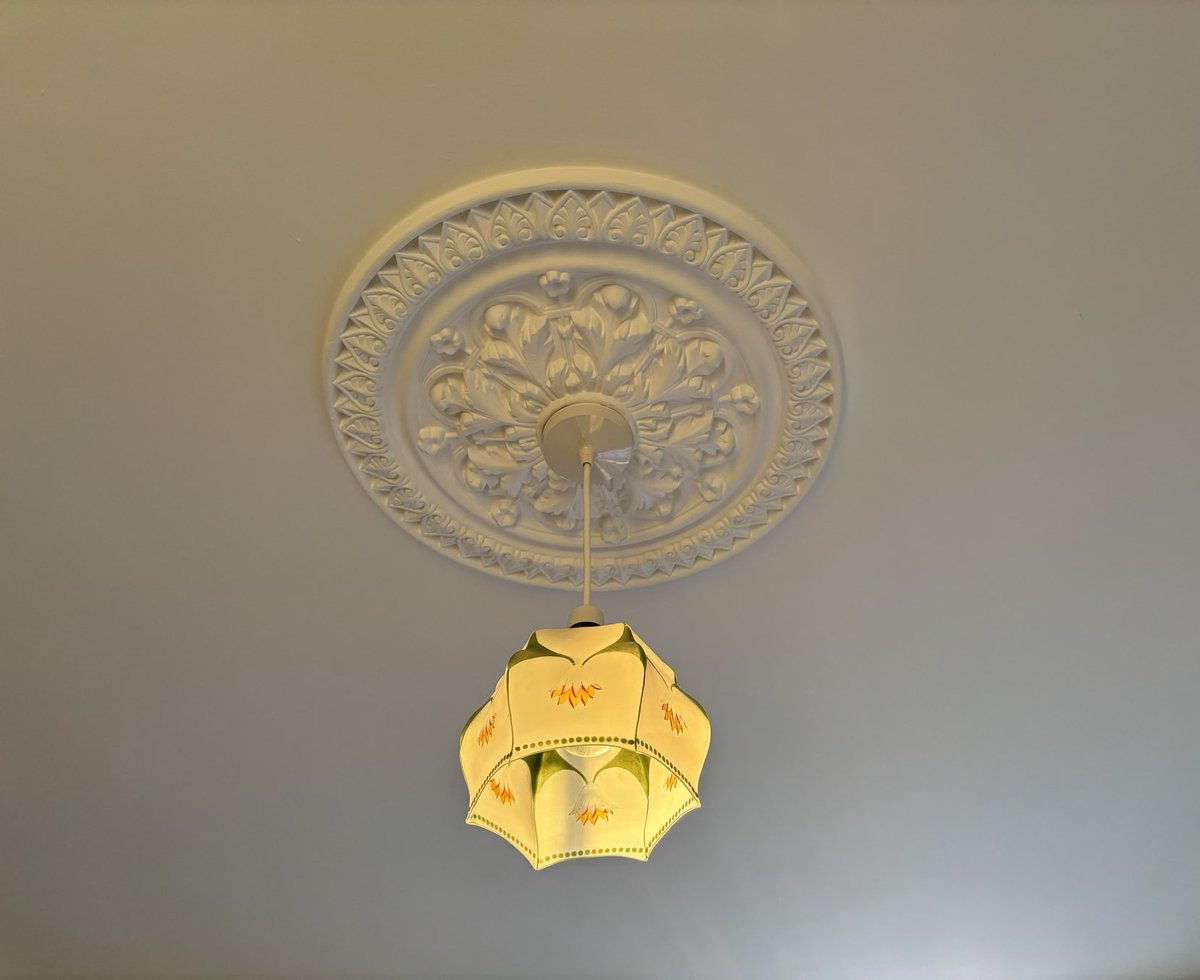 joannaofottawa's tweet image. The light in my study right now. 

#autumnlight #settingsun #ceiling #lookingup #thedomestic