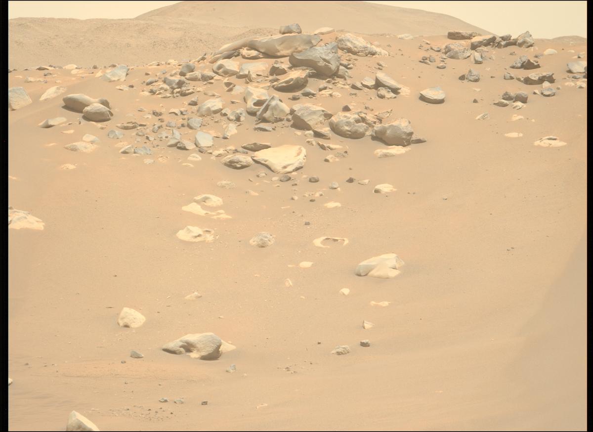 MarsMissionImgs's tweet photo. #PerseveranceRover image taken on #Sol889 at 10:45:18.112 AM with #MastcamZ #Mars #NASA #Space https://t.co/VJJHALVwdK