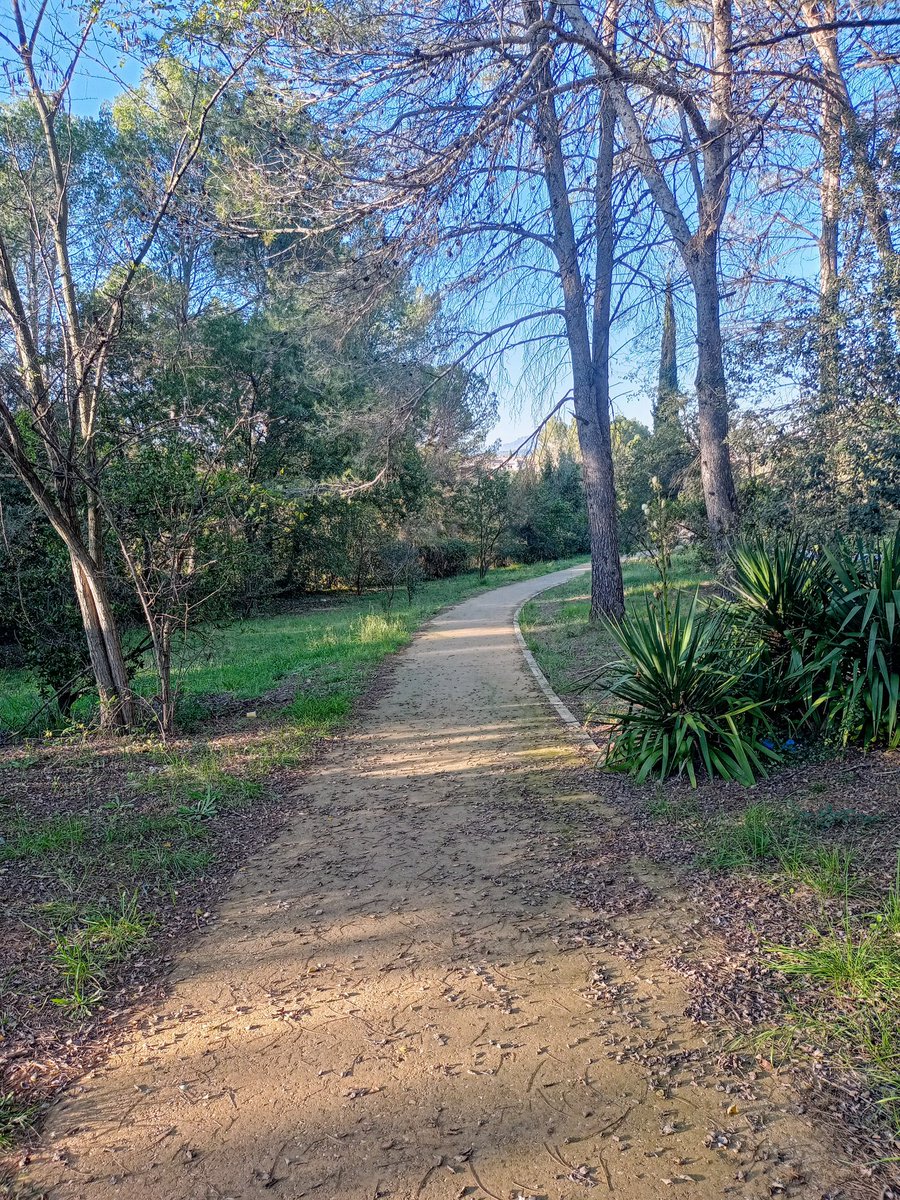 falguera_merce's tweet image. Camins que porten a llocs nous...
#MomentsDeVida