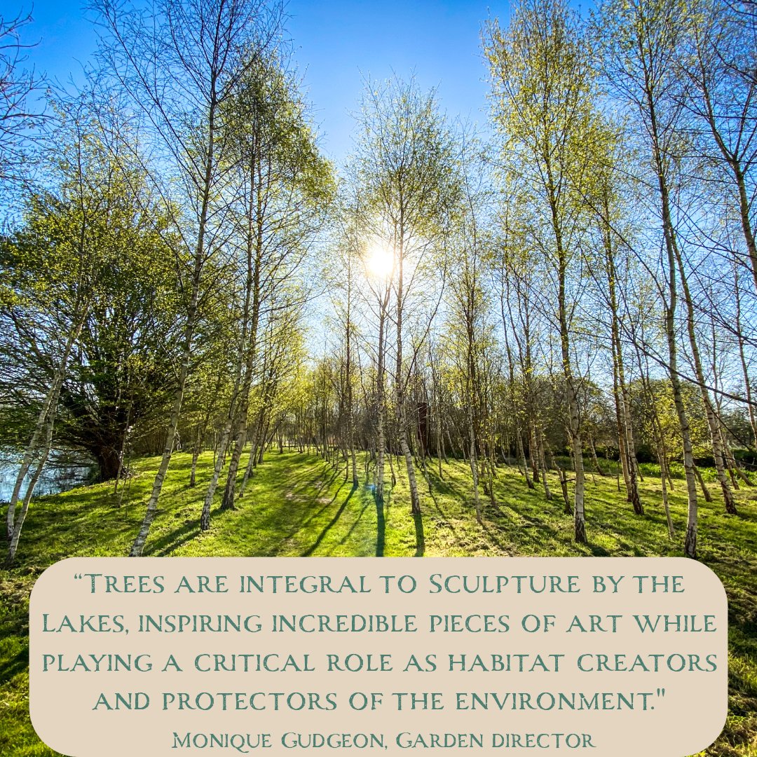 Today is the first day of The Tree Council’s National Tree Week, marking the start of the winter tree planting season.

We’re proud to have a collection of 1,000 trees and shrubs in our wonderful sculpture park – many of which are under threat in the wild.

#NationalTreeWeek