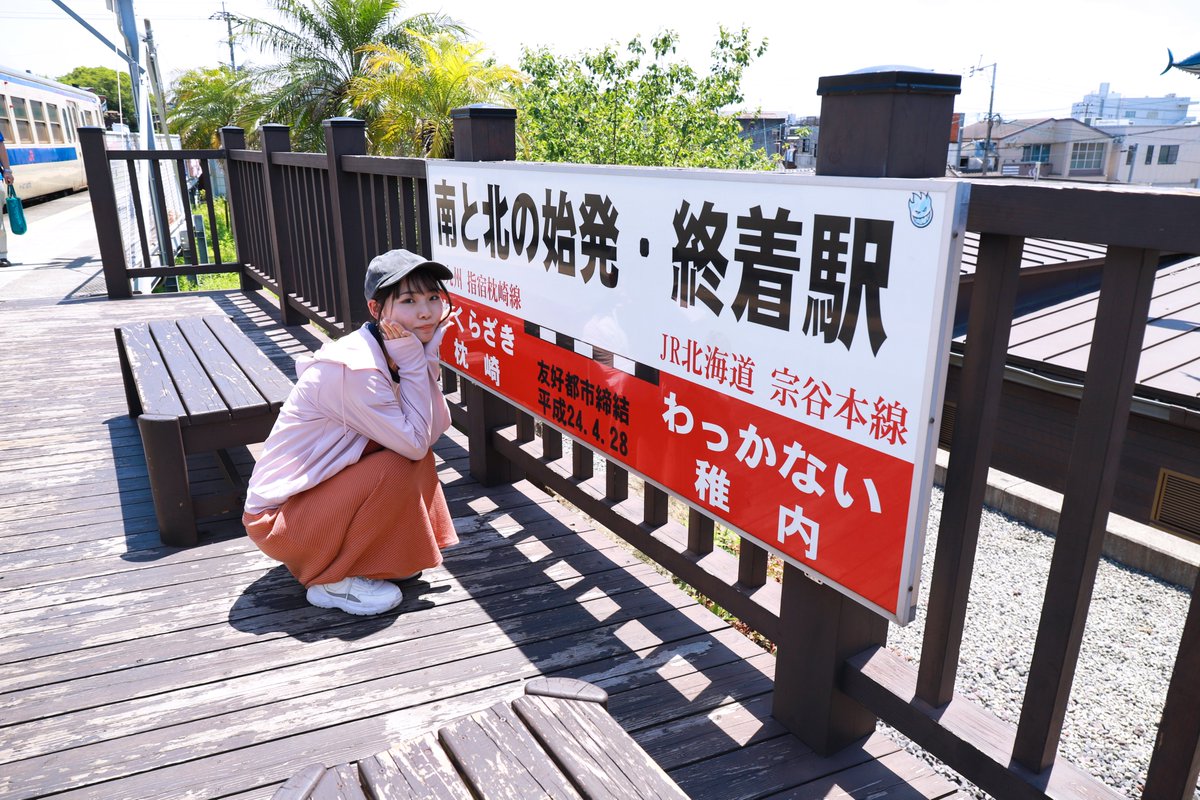 猫大好き(隠居) tweet media