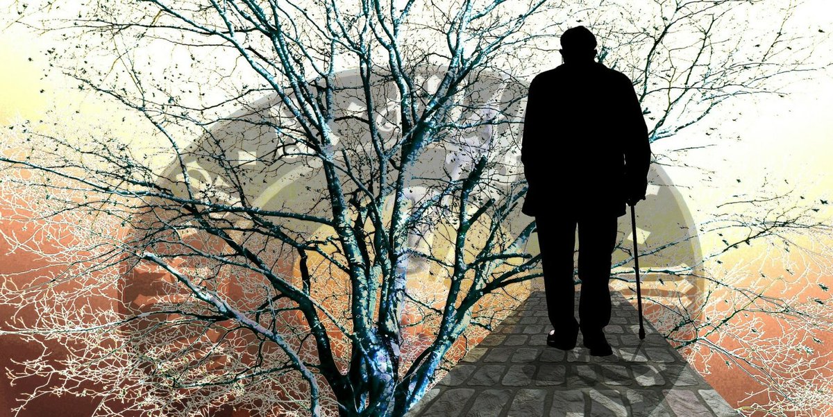 NatureCoaster.com tweet media