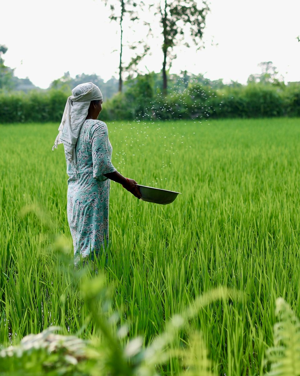 Projects Abroad tweet media