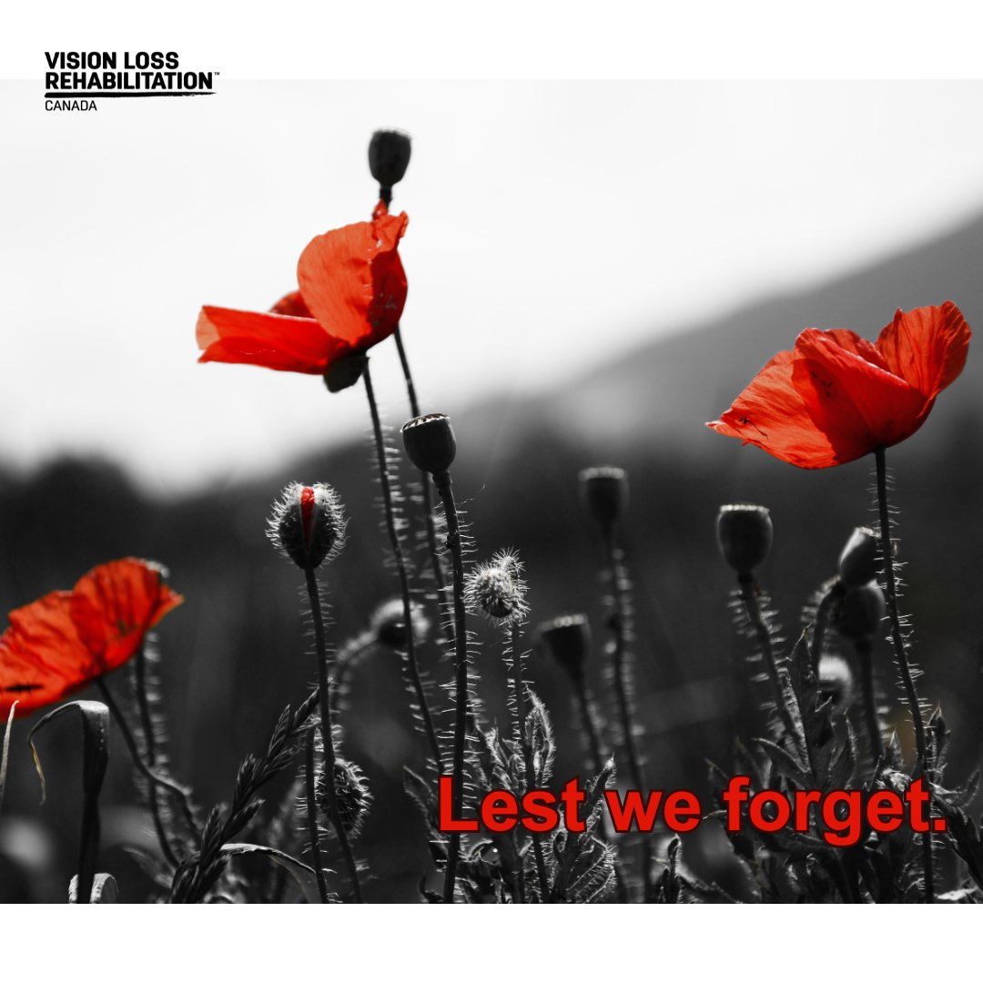 Vision Loss Rehabilitation Canada tweet media