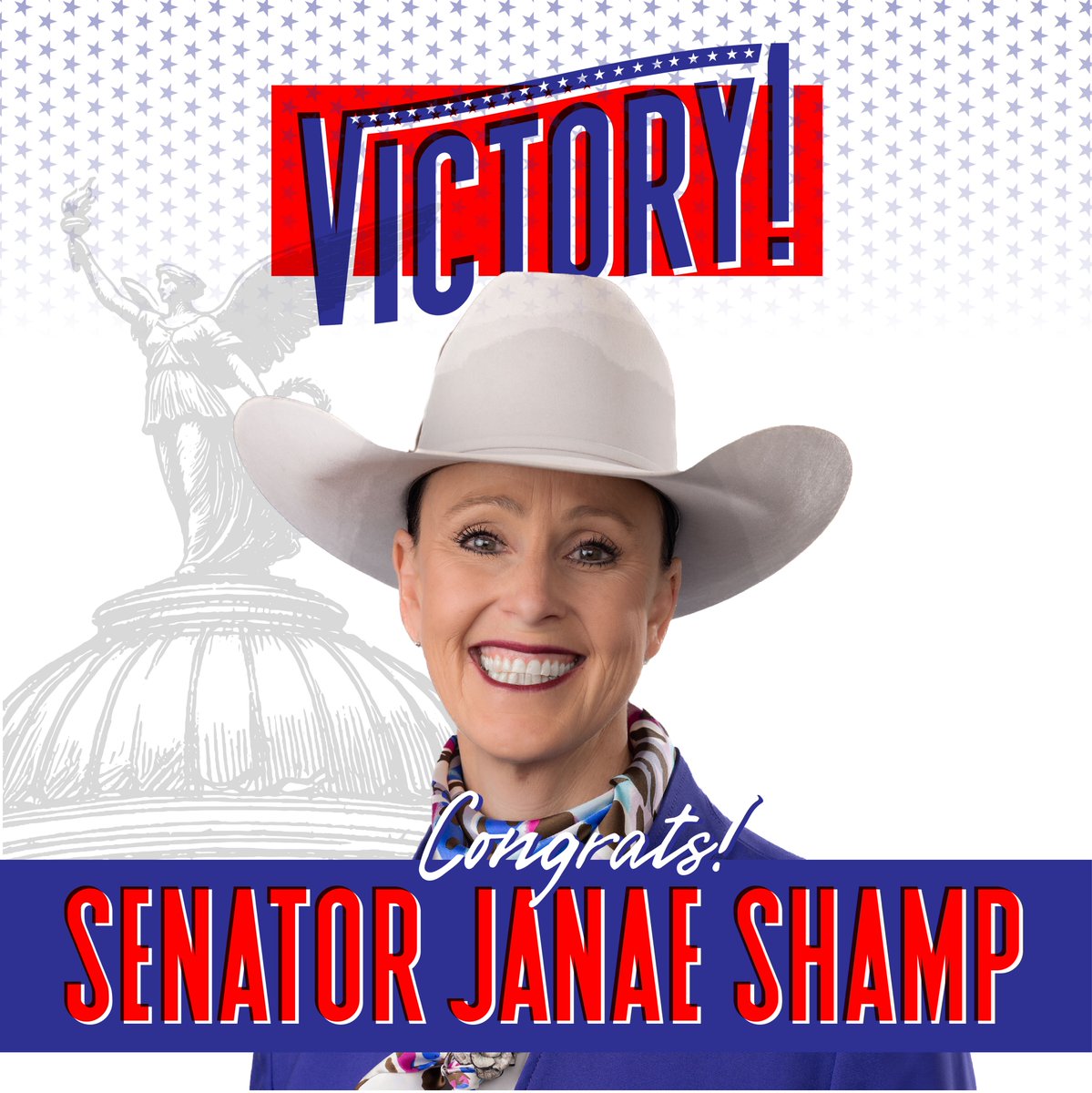 AZVictoryPAC's tweet image. Congratulations @AZSenatorShamp on your re-election! #LD29