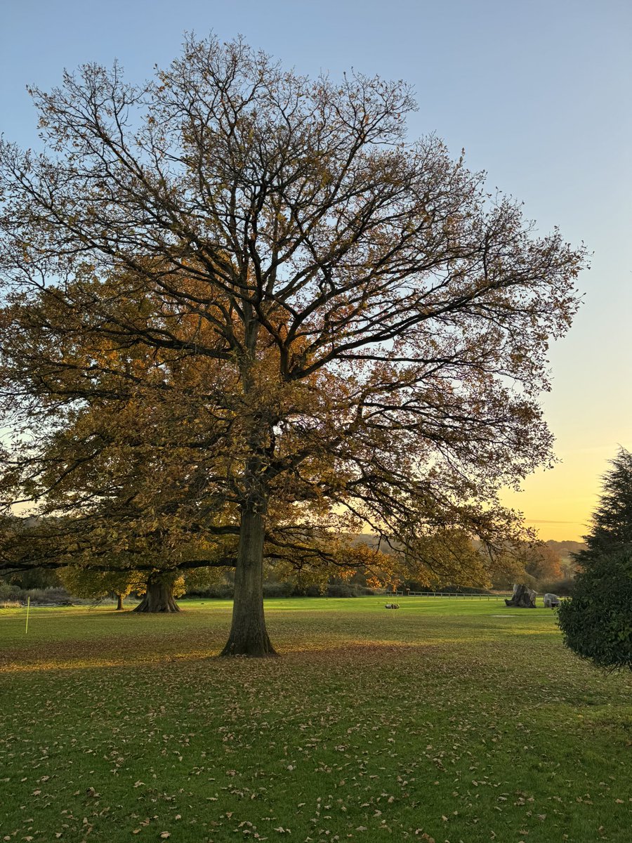 November sunlight view from my office <a href="/StGabsJuniors/">St Gabriel's Juniors</a> <a href="/StGabrielsNews/">St Gabriel's School</a> <a href="/GSAUK/">Girls' Schools Association</a> <a href="/NewburyToday/">.</a> @societyofheads