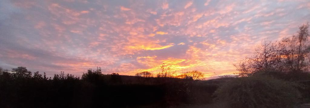 The Aberdeenshire sky doing its thing this evening.
