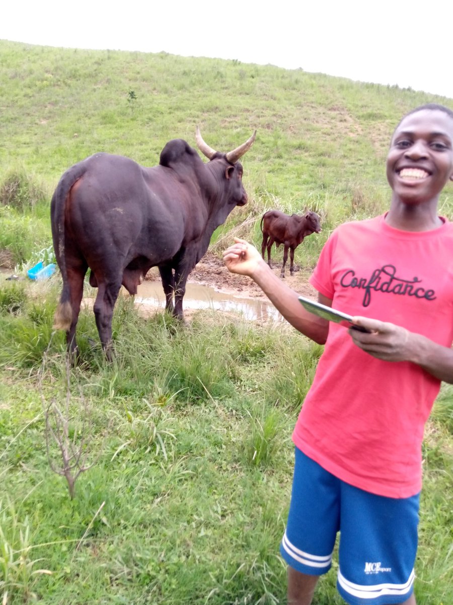 buhngwi's tweet photo. Just signed up to the Arweave Fullstack Hack. Here's my signup link:
  
https://t.co/9NZD4G6Slf

Let's build! #ArweaveFullstackHack https://t.co/zr0qmDyZaD