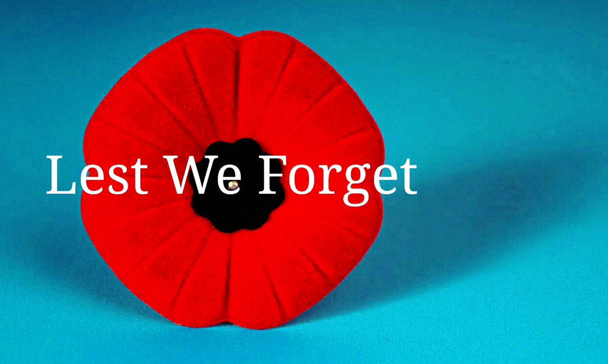 N'oublions pas
#Remembrance #RemembanceDay #RemembranceDay2024 #rcaf 
#cadets #remembrancedaypoppy
#flandersfields