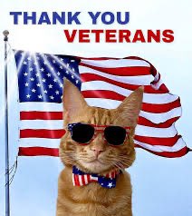 Fluffner & Jax Teller 🐾🐾 (@msfluffner) on Twitter photo 