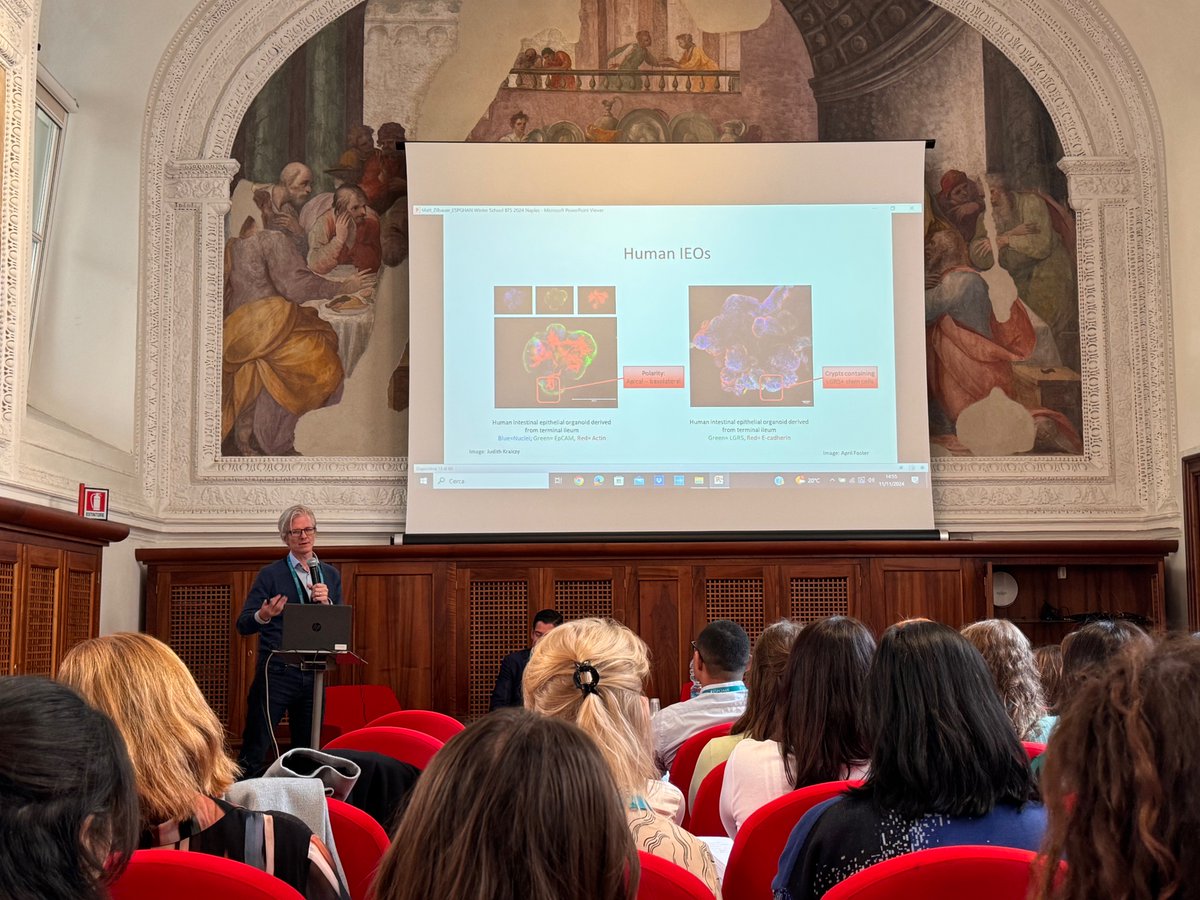 Kotlarz Lab (@kotlarz_lab) on Twitter photo Exciting presentation by <a href="/Zilbauer_M/">Matthias Zilbauer</a> on in-vitro pre-clinical research methodologies: from cell lines to organoid cultures.
<a href="/ESPGHANSociety/">ESPGHAN</a> <a href="/Young_ESPGHAN/">Young ESPGHAN</a> #Science #TranslationalResearch #organoids Exciting presentation by <a href="/Zilbauer_M/">Matthias Zilbauer</a> on in-vitro pre-clinical research methodologies: from cell lines to organoid cultures.
<a href="/ESPGHANSociety/">ESPGHAN</a> <a href="/Young_ESPGHAN/">Young ESPGHAN</a> #Science #TranslationalResearch #organoids