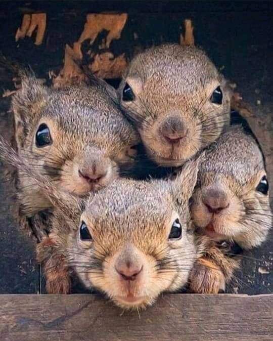 Perfect shoot📷😍😍😍