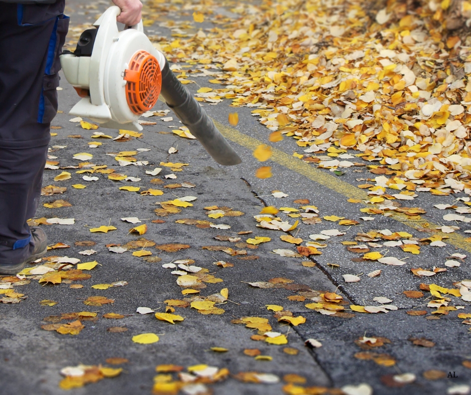 AmericanLandInc's tweet image. Maryland Leaf Clean-Up and Removal
Schedule Your Leaf Removal &amp;amp; Cleanup 
 ➤ (301) 384-4486
marylandlandscaping.net/leaf-clean-up-…
#LeafRemoval #yardcleanup #leafcleanup