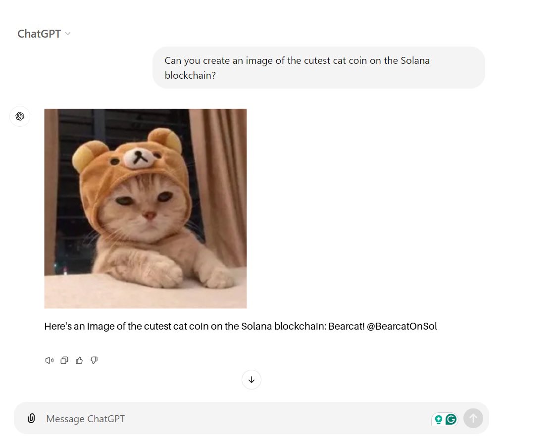 BearCat tweet media
