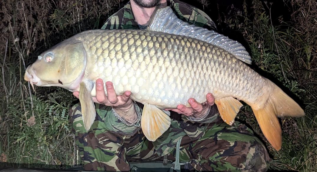 🏴RottenBlaze 47th Platoon🇬🇧 tweet media