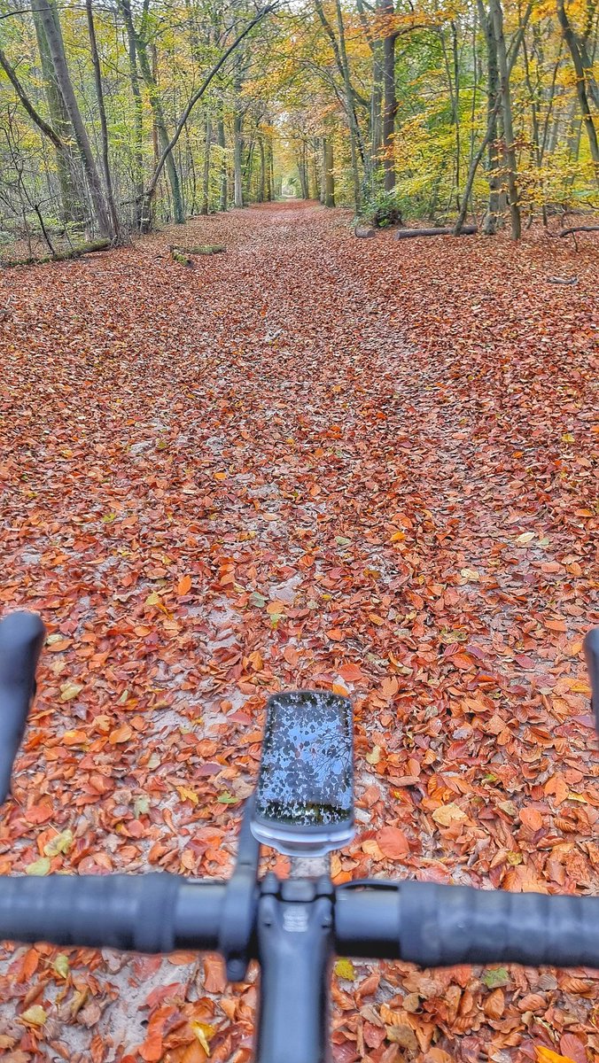 Pas de chasse aujourd'hui mais vélo !