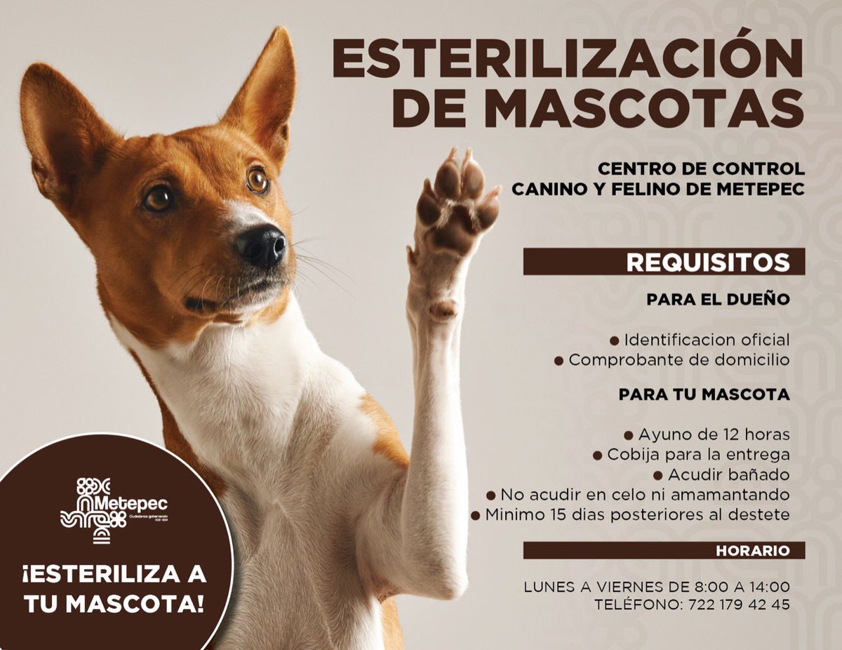MetepecAmbiente's tweet photo. Acude a la “Séptima campaña móvil de esterilización canina y felina”, ahora también para perros y gatos en situación de calle. Recuerda que iniciamos en punto de las 9:00 horas. ¡No faltes!
#CiudadanosGobernando
#MetepetFriendly https://t.co/VtoEdnIeTW
