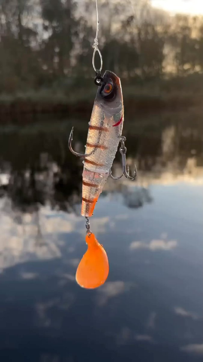 tackle_net's tweet image. Smooth🔥🎣 @charlies.fishing.official . . . #custombaits #swimbait #customswimbaits #handmadelures #customlures #baitmaking #bigfish #fisherman #fishingtrip #luremaking #fishinglure #fishinglures #lurebuilding #bassfishing… instagram.com/reel/DCO-SqAMR… tackle.net