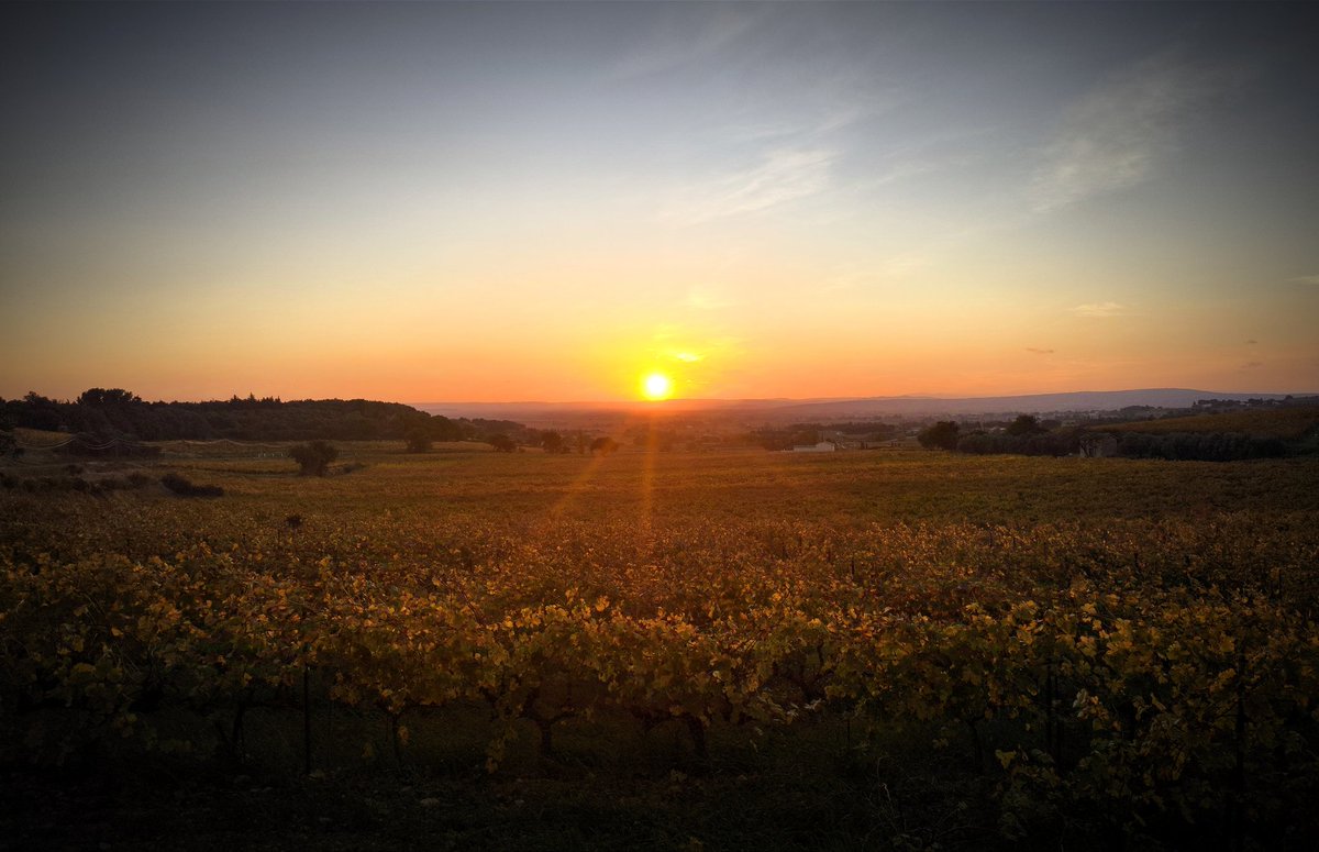 KevinBanck's tweet photo. 🌄🍇🇫🇷 Sur les hauteurs de #Rasteau avant d'aller rencontrer deux nouveaux adhérents qui ont rejoint récemment notre mouvement politique.
Notre Haut Vaucluse est vraiment magnifique !
@RNational_off
@RNvaucluse
@FranceLorho https://t.co/BtW546BQcm