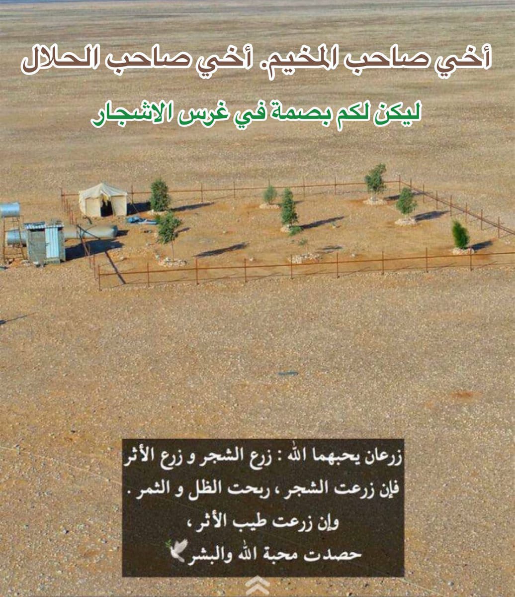 abdullah91194's tweet photo. اغرس شتلة طلح خلال التخييم بموسم الربيع وغادر المكان بعد نهاية الموسم، ومن ذلك الوقت والشجرة تنمو بدون ري بإذن الله.
#اغرسها https://t.co/z8vObqdApe
