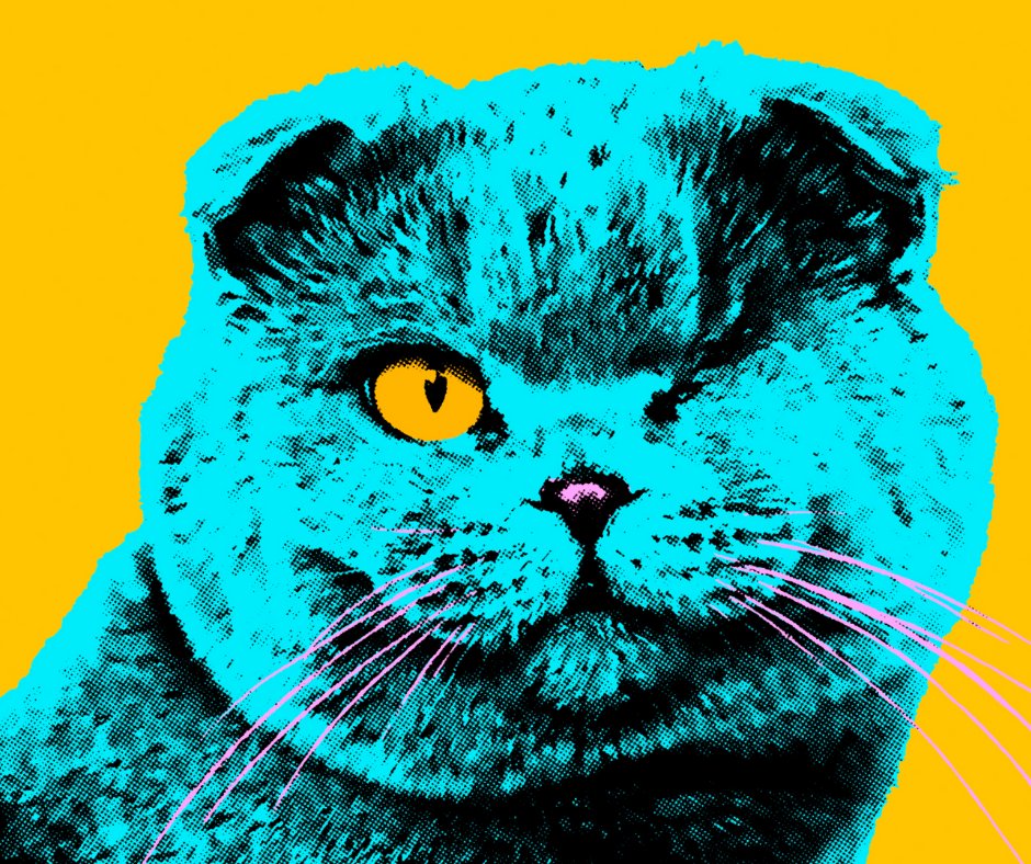 The Live From Tubby's House streaming shows are back on Wednesdays for November and December on StageIt. Each show goes for one hour. This week's stream is a fundraiser for Matthew Sweet, who suffered a stroke recently. Please join us. Requests welcome!

robynhitchcock.com/tour