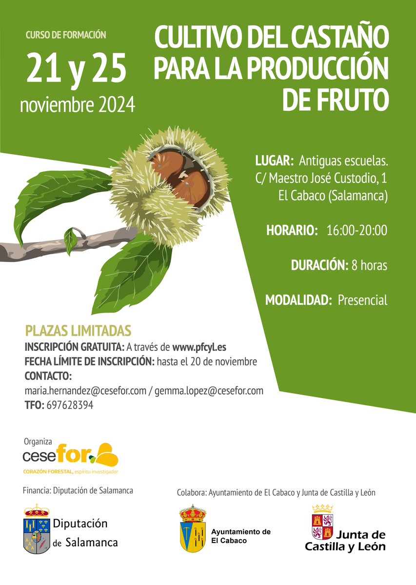 naturalezacyl's tweet image. ¿Te interesa poner en producción los castaños familiares? ¿Quieres comenzar una nueva plantación? En El Cabaco se organiza un curso presencial para producción de #castaña. No dejes pasar la oportunidad de generar una nueva renta y gestionar el monte @dipusalamanca @Fcesefor @jcyl