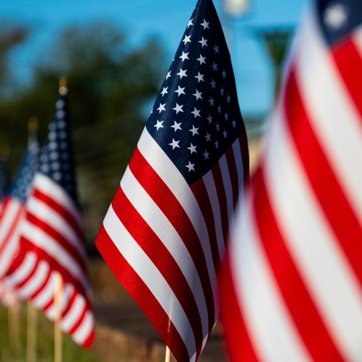Leander ISD (@leanderisd) on Twitter photo On this Veterans Day 🇺🇸, we extend our heartfelt thanks to the veterans who are part of our #1LISD family. Your dedication is a source of inspiration for our students and staff alike. Thank you for your service and sacrifice. 
#VeteransDay On this Veterans Day 🇺🇸, we extend our heartfelt thanks to the veterans who are part of our #1LISD family. Your dedication is a source of inspiration for our students and staff alike. Thank you for your service and sacrifice. 
#VeteransDay