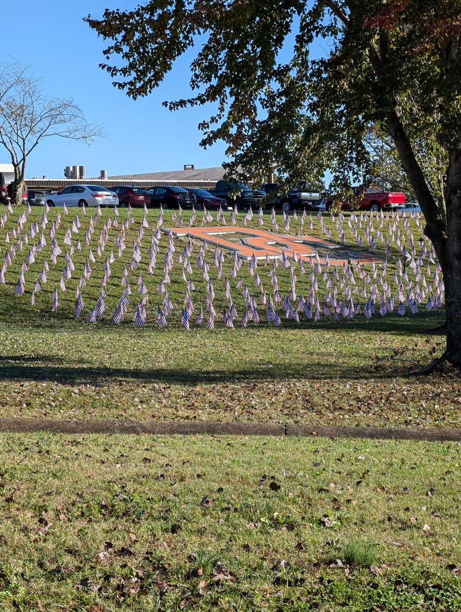 I am always proud of our school but on certain days it just goes to another level of pride! 

Awesome way to salute ALL the Veterans!!
We thank you!!
#usapride
#cougarpride