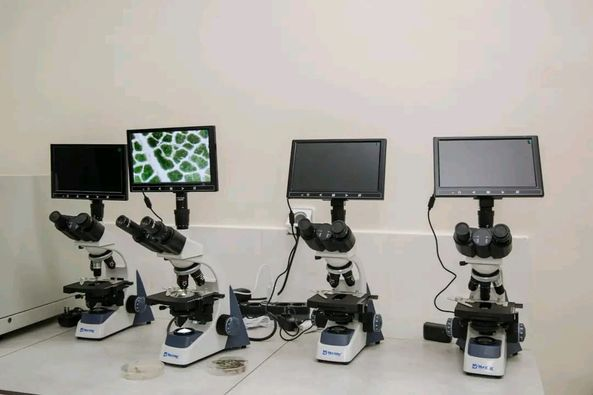 Monafrique8's tweet photo. 🇨🇮L’Université Peleforo Gon Coulibaly de Korhogo (UPGC) dispose désormais de deux laboratoires à la pointe de la technologie et dédiés à la filière karité en son sein. https://t.co/FbsVOJai4f