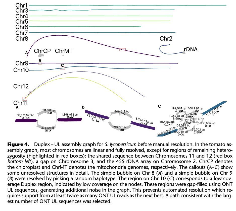 Stephen Turner 🦋 @stephenturner.us (@strnr) on Twitter photo Gapless assembly of complete human and plant chromosomes using only nanopore sequencing genome.cshlp.org/content/early/…  🧬🖥️ Gapless assembly of complete human and plant chromosomes using only nanopore sequencing genome.cshlp.org/content/early/…  🧬🖥️