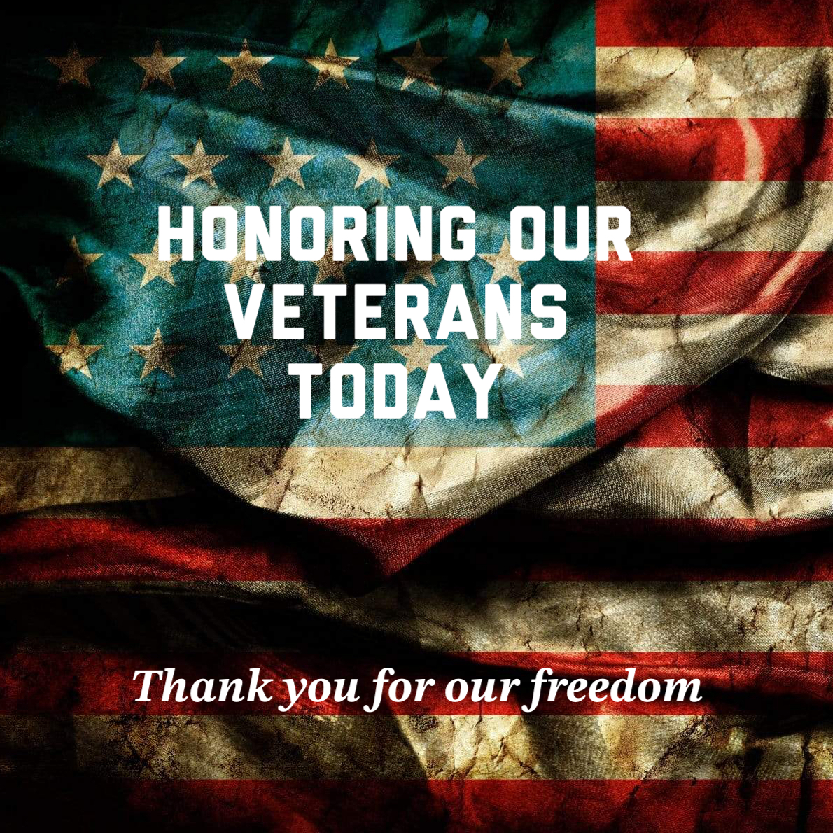 Project7Armor's tweet image. To all those who have served, we thank you 🇺🇸