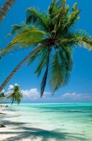 Efrain2__'s tweet photo. Good morning my friends Happy new week 😀
God bless you🙏🤲

🐡🦑🐍🐡🦑🐍🐡🦑🐍🐡🦑🐍🐡🦑🐍🐡🦑🐍🐡🦑

#PuertoRico ☀️☕️
@Soy_Donna_💙I love you😘😍🥰
@Efrain2__ ❤️
@LuDonna_ 💙I love you😘😍🥰
@Efrain1_D❤️
@DonnaEfrain 😍
@DE_SILVIA_T 🌺
@Atlanna__ 🌸
@NairaEyen 🤗
@NaiaraEyen👼🏻 https://t.co/aemcGIPsJQ