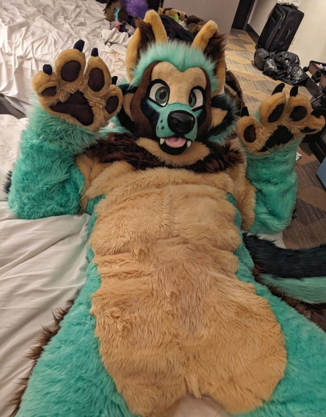 Coby (and Ruvi the Mint Fox) tweet media