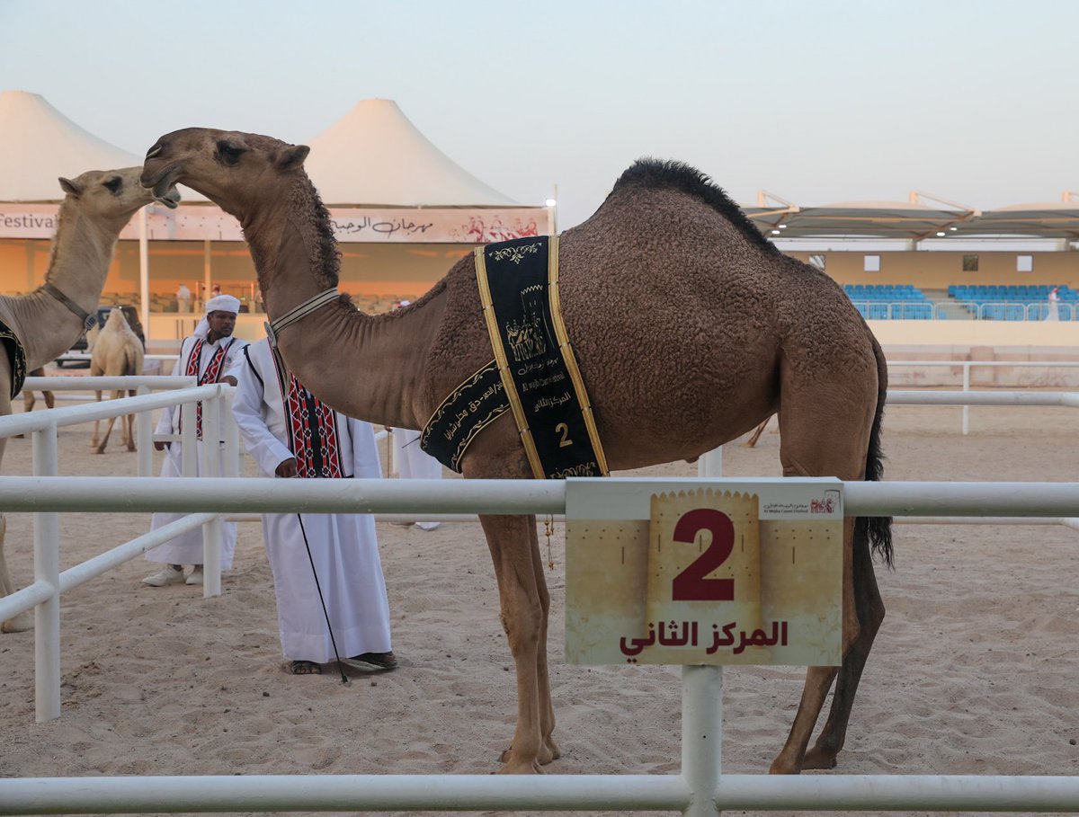 QCamelMC tweet picture