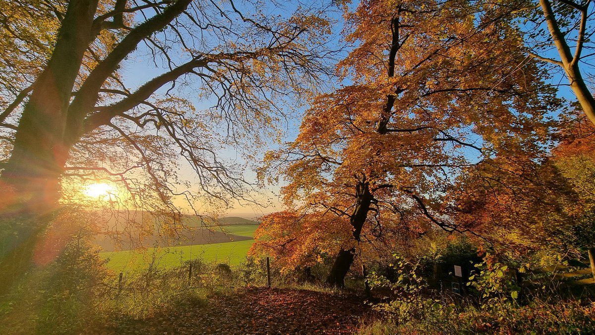 Finally, some post-work, late afternoon sunshine! Just need some snow now! :-)