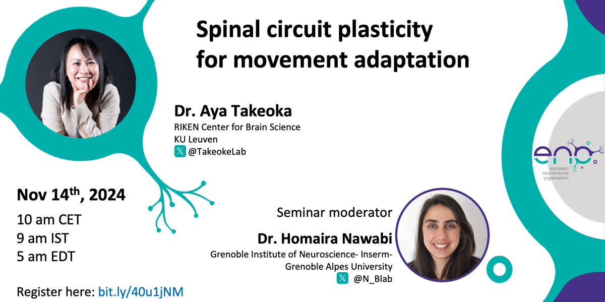 European Neurotrauma Organisation (ENO) (@enoneurotrauma) on Twitter photo 🚨Don't miss out on our next exciting ENO webinar on Thursday 14th at 10am CET/9am IST/5am EDT !!🚨
Dr. Takeoka (<a href="/TakeokaLab/">Takeoka lab</a>) will discuss "Spinal circuit plasticity for movement adaptation," with moderator Dr. Nawabi (<a href="/N_Blab/">Nawabi-Belin lab</a> )
Register here ✏️ bit.ly/40u1jNM 🚨Don't miss out on our next exciting ENO webinar on Thursday 14th at 10am CET/9am IST/5am EDT !!🚨
Dr. Takeoka (<a href="/TakeokaLab/">Takeoka lab</a>) will discuss "Spinal circuit plasticity for movement adaptation," with moderator Dr. Nawabi (<a href="/N_Blab/">Nawabi-Belin lab</a> )
Register here ✏️ bit.ly/40u1jNM